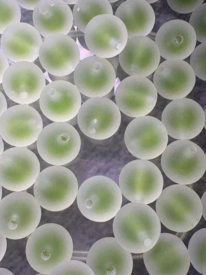 Bulk Bead Bag #DL8 16mm Frosted Double Layer