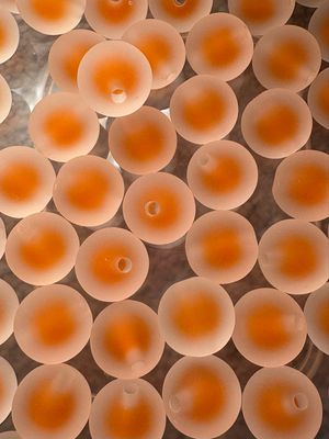 Bulk Bead Bag #DL7 16mm Frosted Double Layer