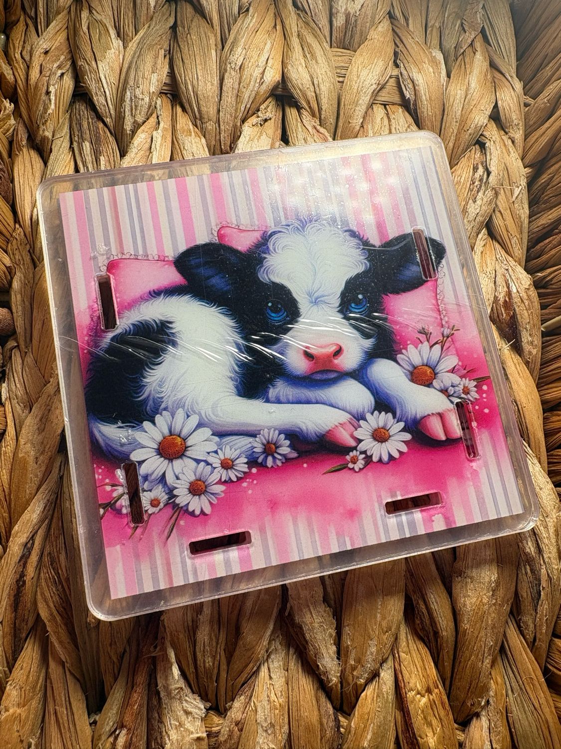 Black &amp; White Cow Pen Box