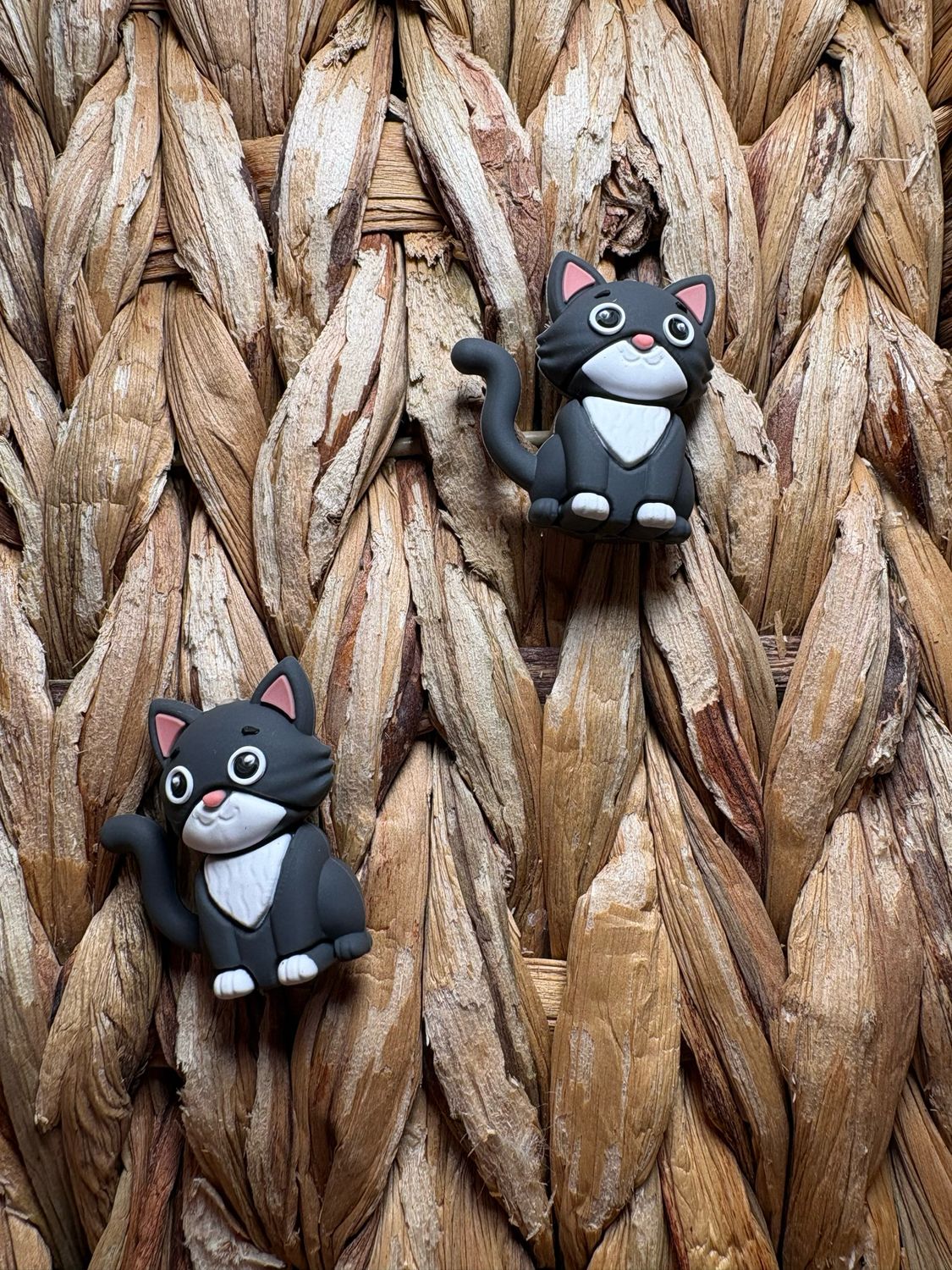 Dark Gray Cat 3d Focal