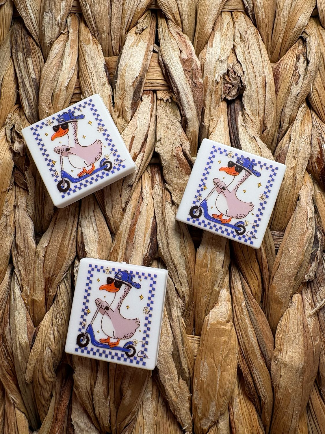 Boy Goose on Scooter 2d Focal