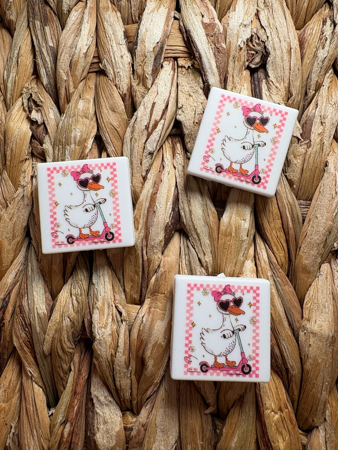 Girl Goose on Scooter 2d Focal