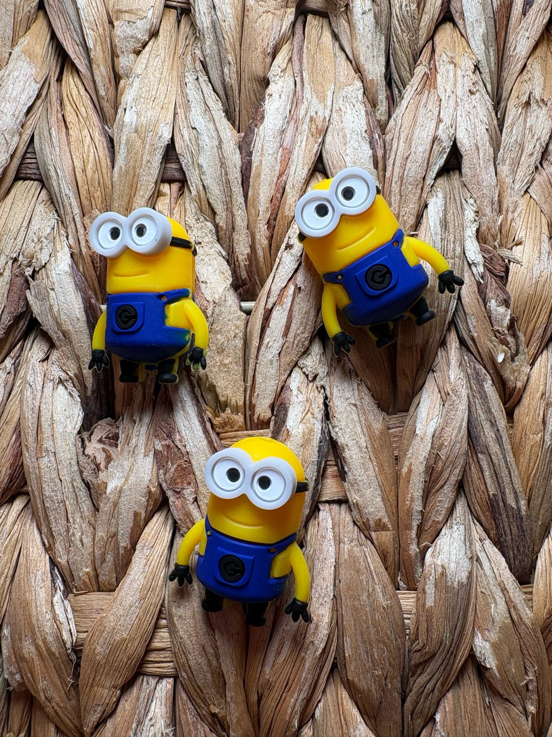 Minion 3d Focal