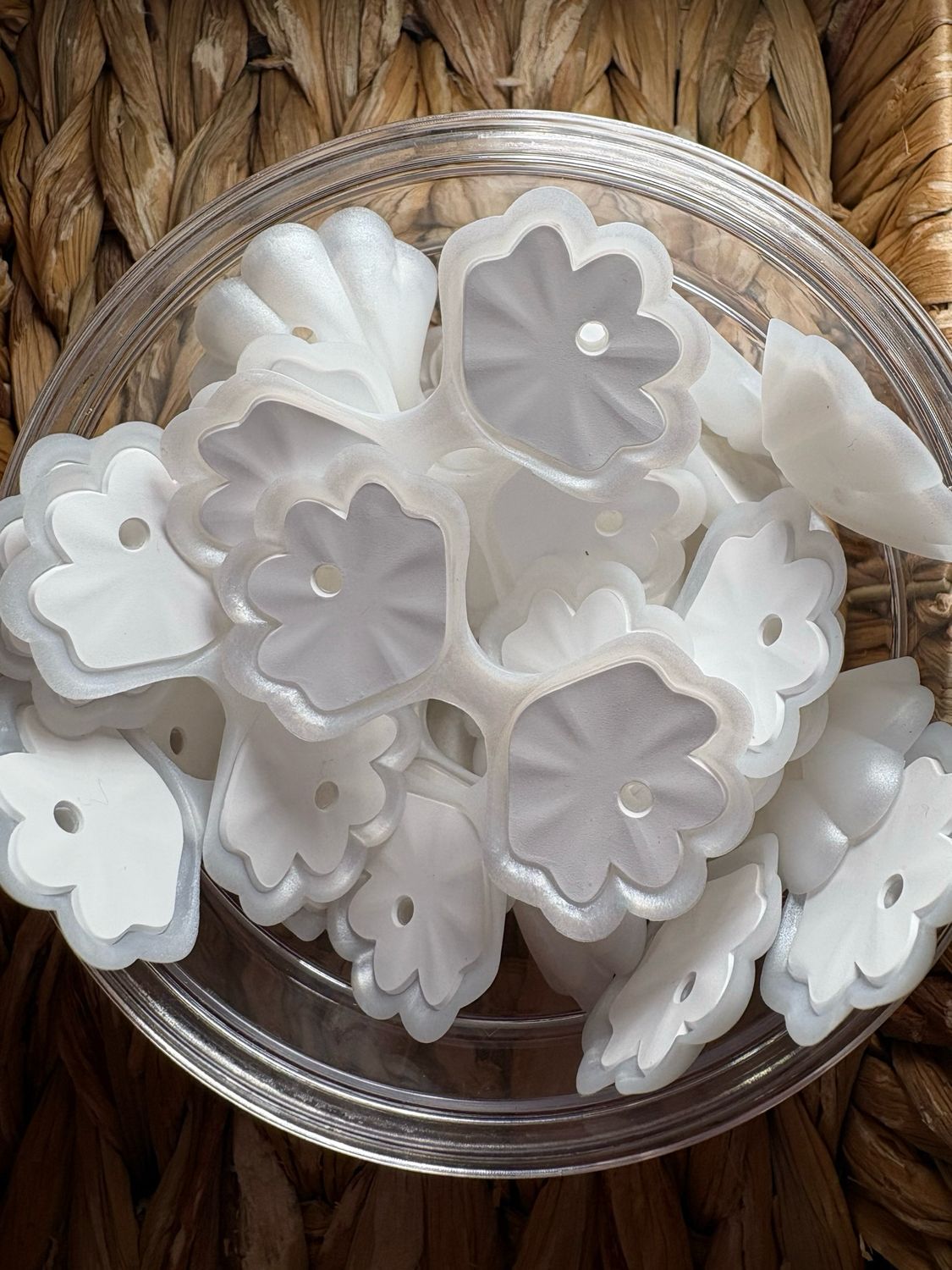 White Shell 3d Focal
