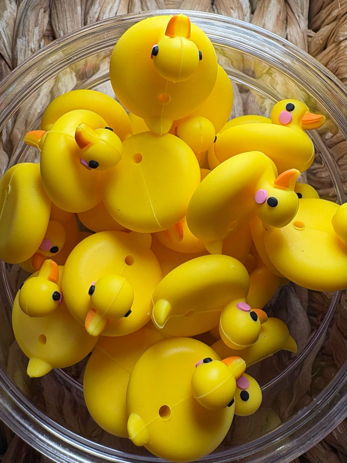 Duck Floaty 3d Focal