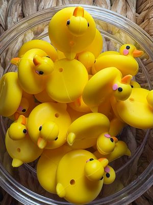 Duck Floaty 3d Focal