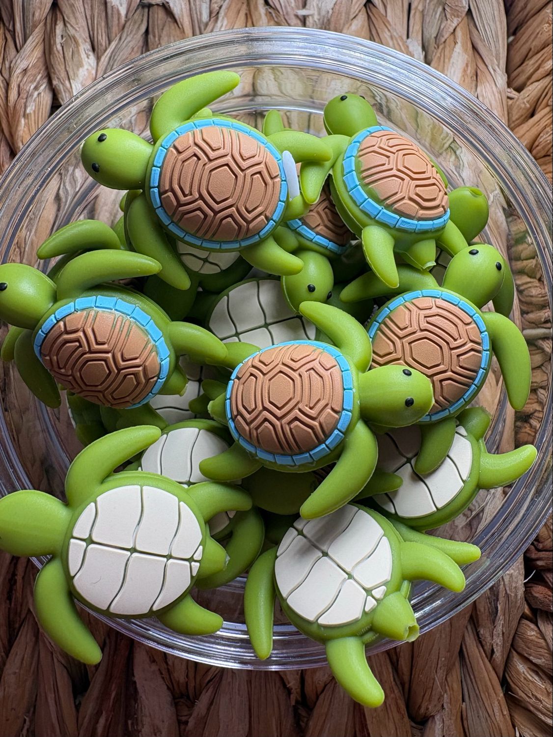 Turtle Swimming 3d Focal