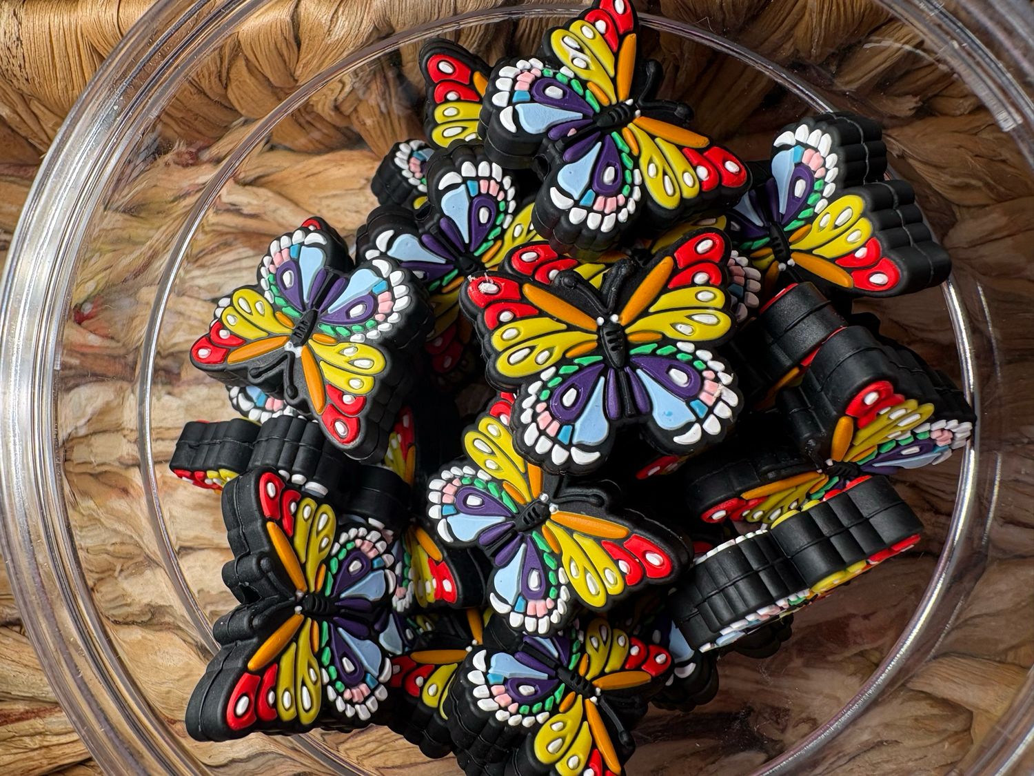 Rainbow Butterfly 2d Focal