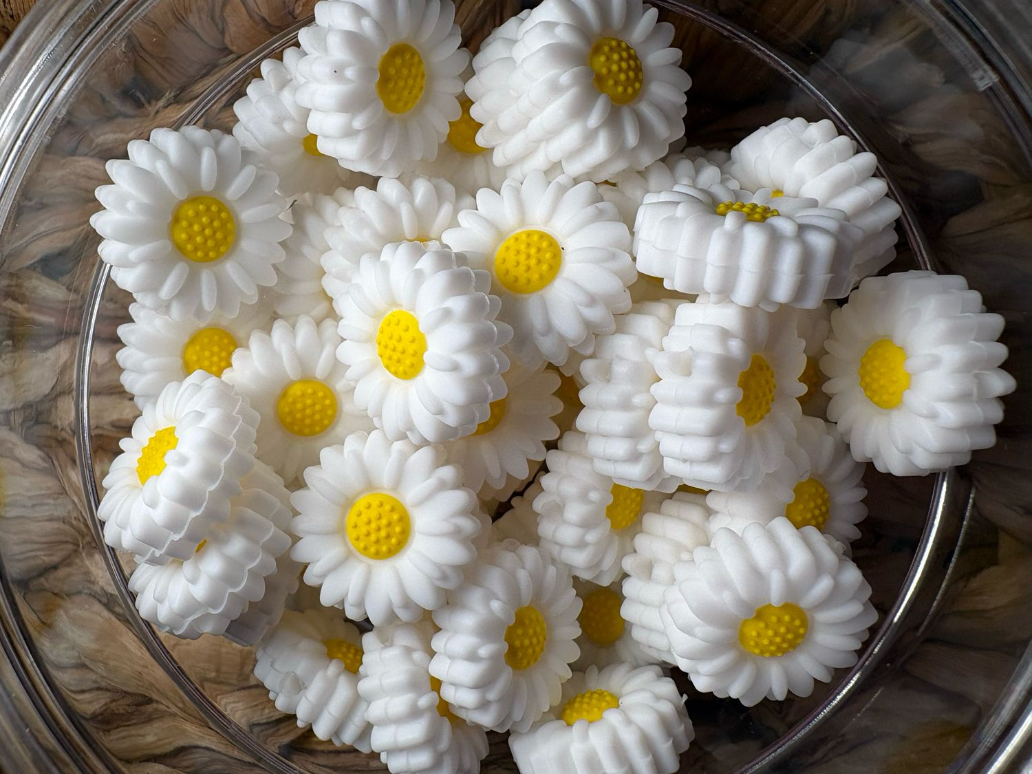 White Flower 2d Focal