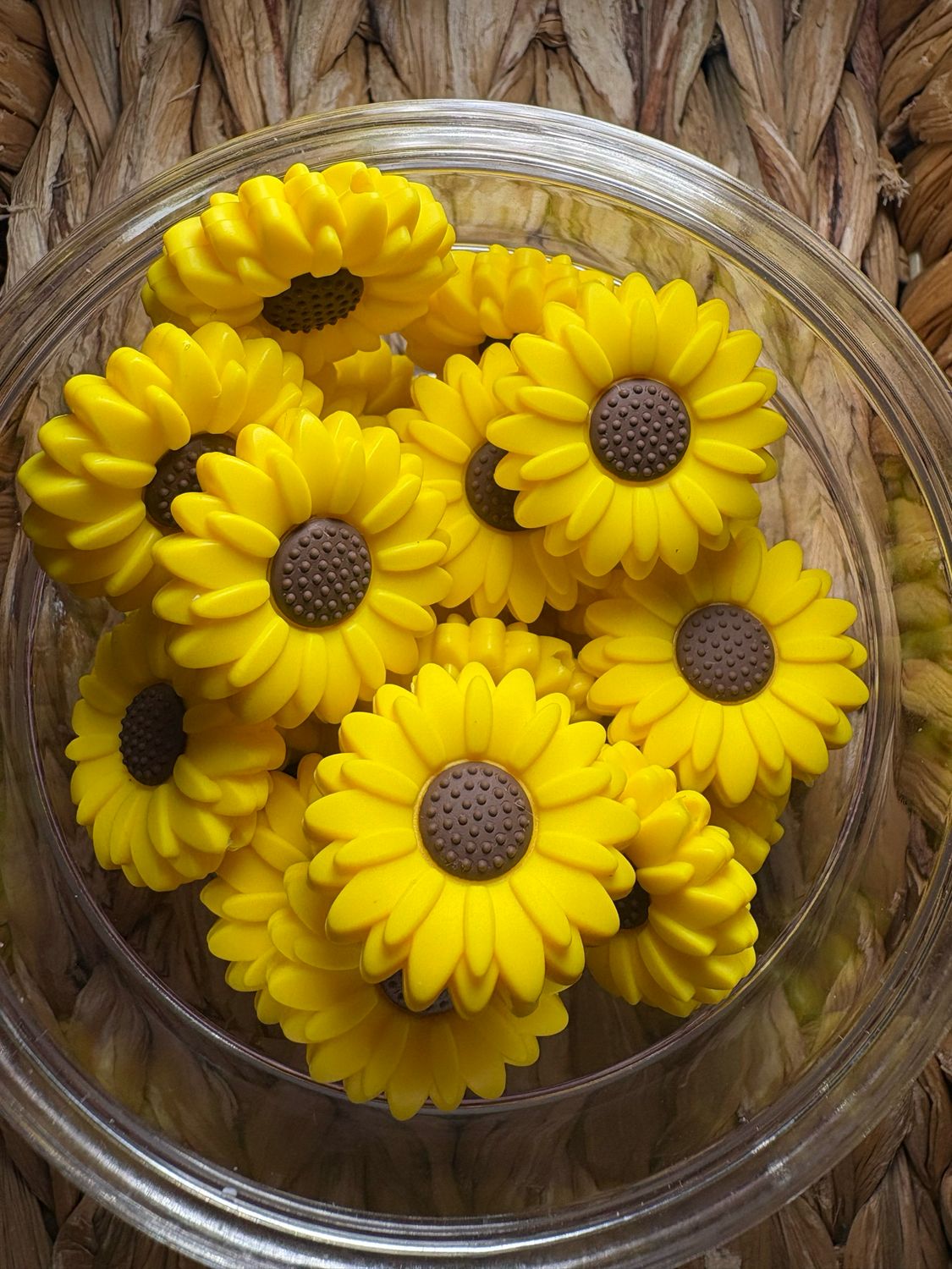 Sunflower (Large) 2d Focal