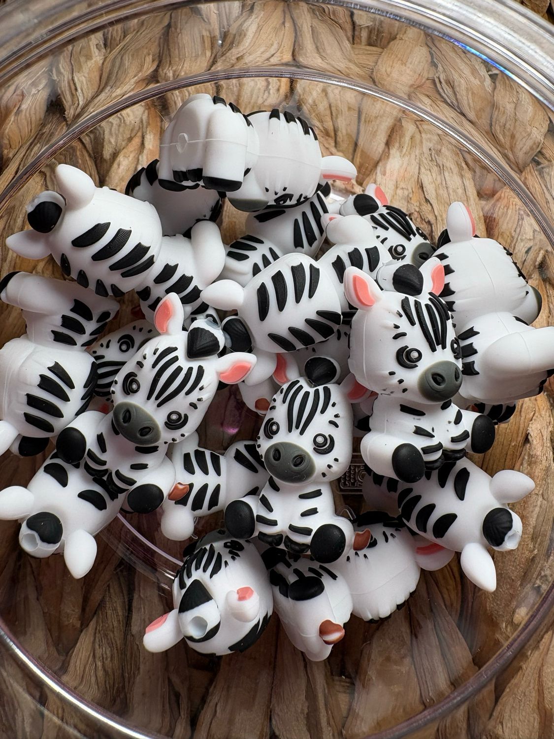 Zebra 3d Focal F179