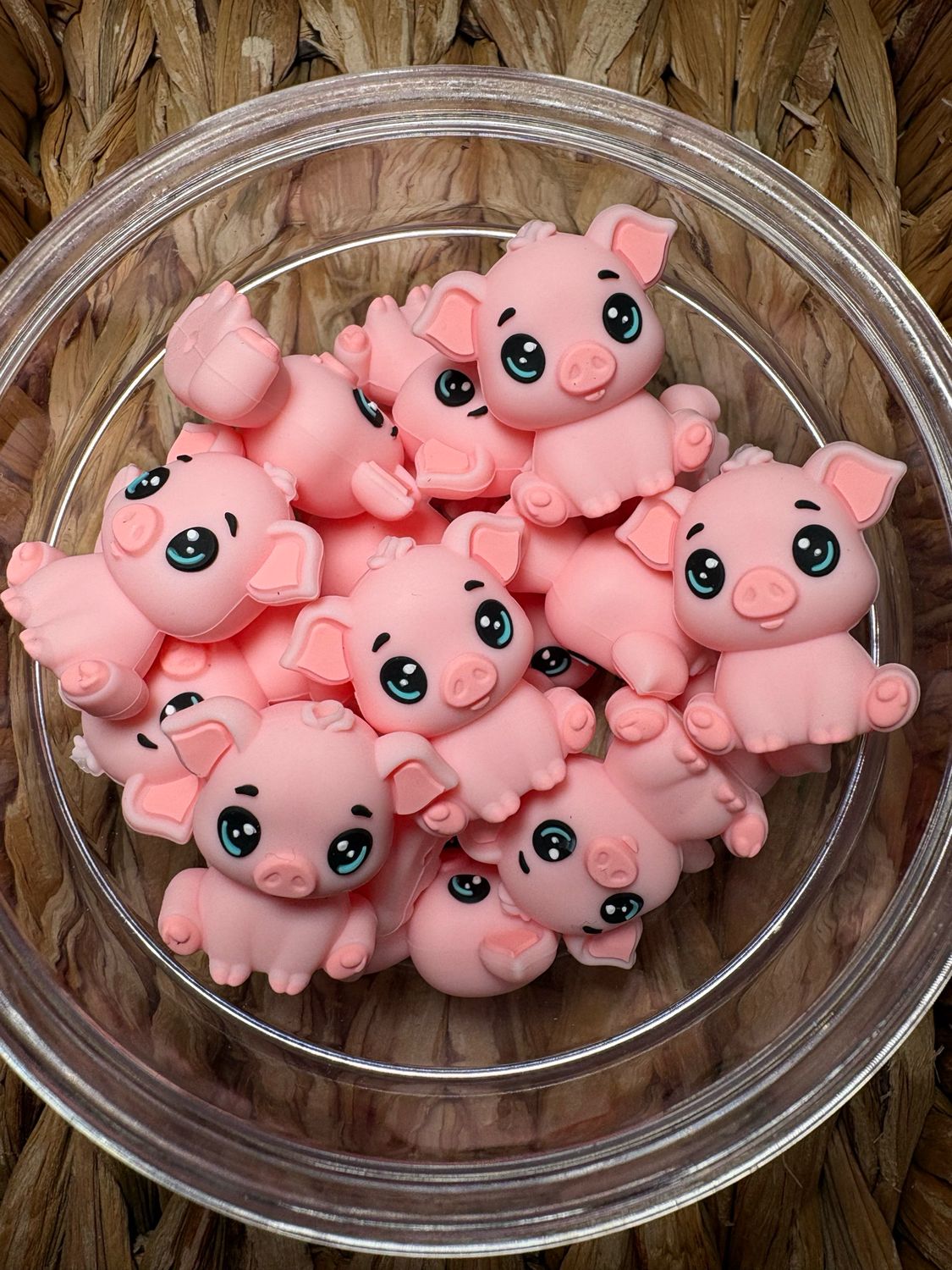 Pig 3d Focal