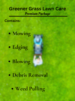 Premium Package
