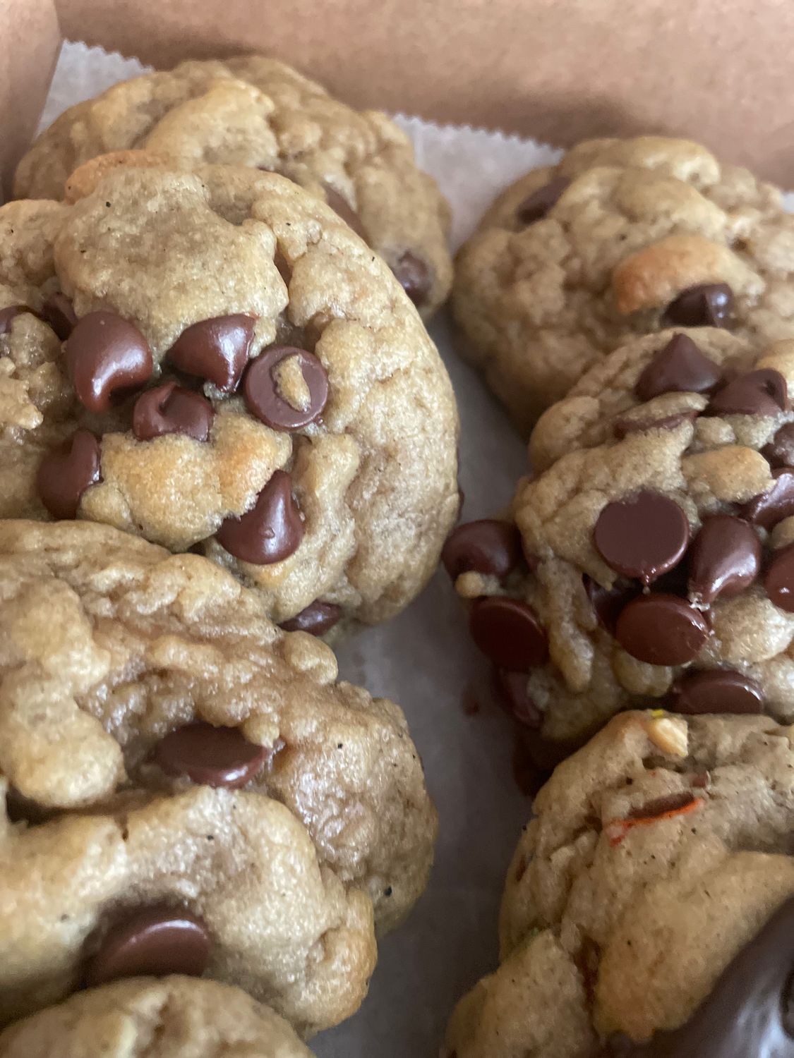 Classic Chocolate Chip Cookie