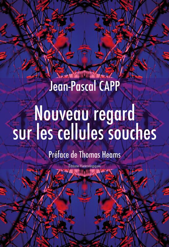 Nouveau regard sur les cellules souches