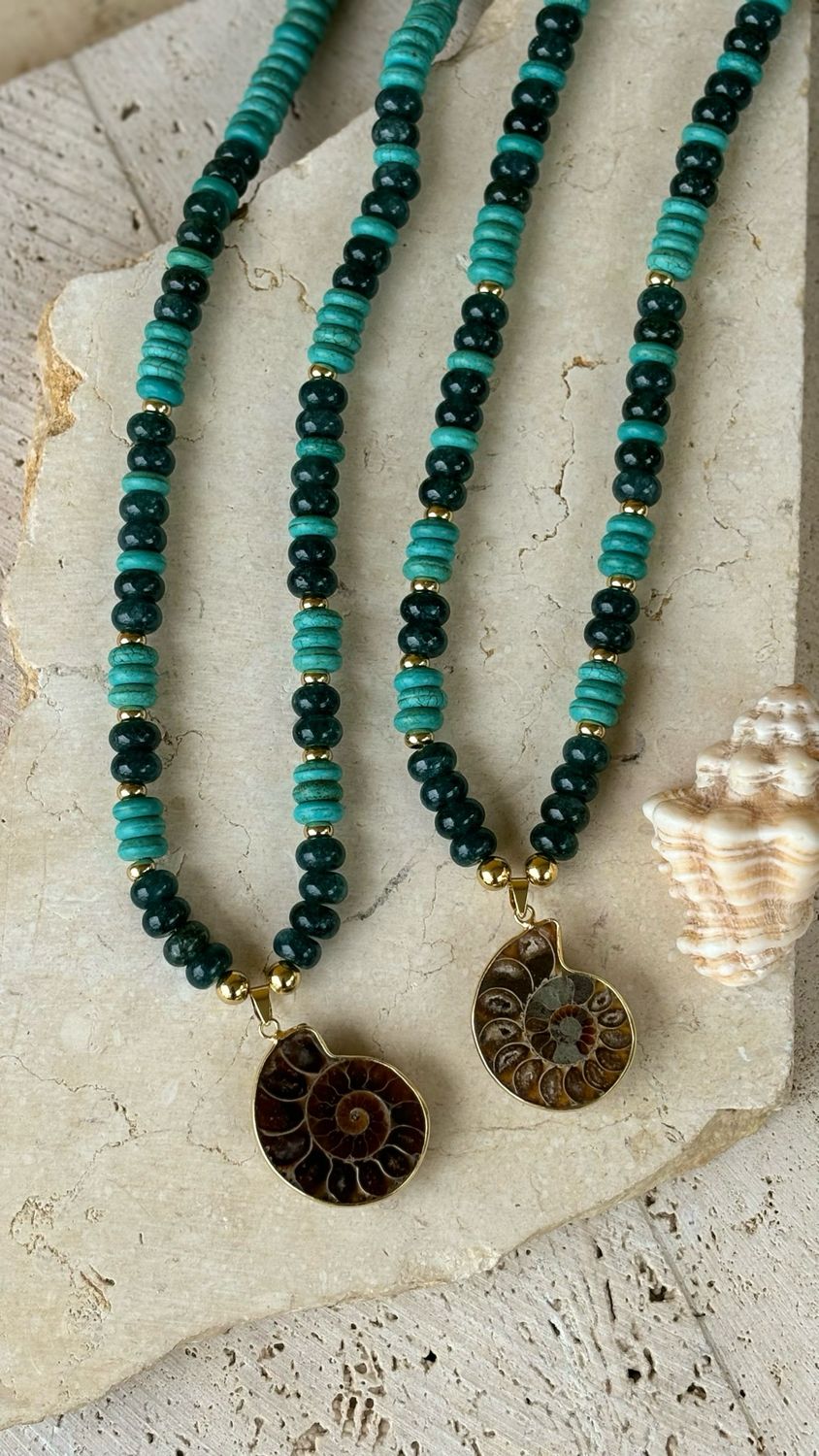 Ammonite 03