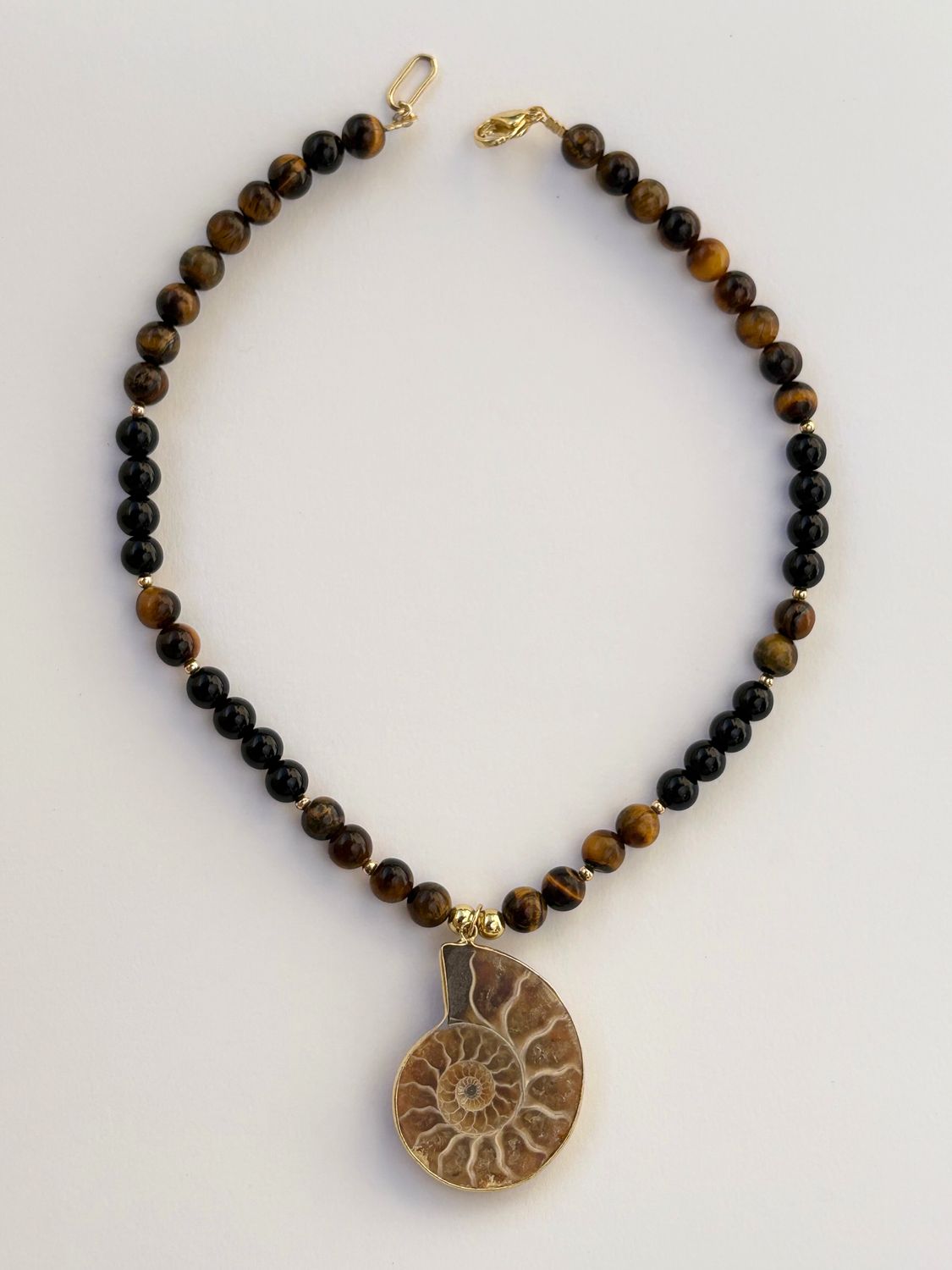 Ammonite in Tiger Eye and Onyx