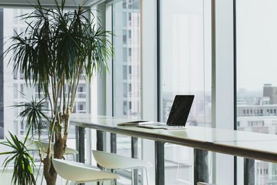 Office Plants