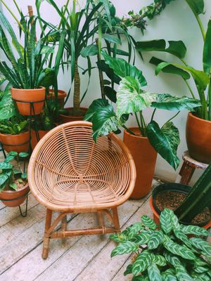 Garden Chairs