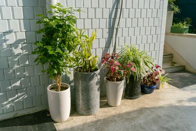 Planters