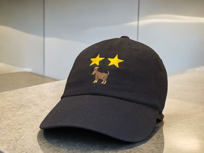 DAD HATS
