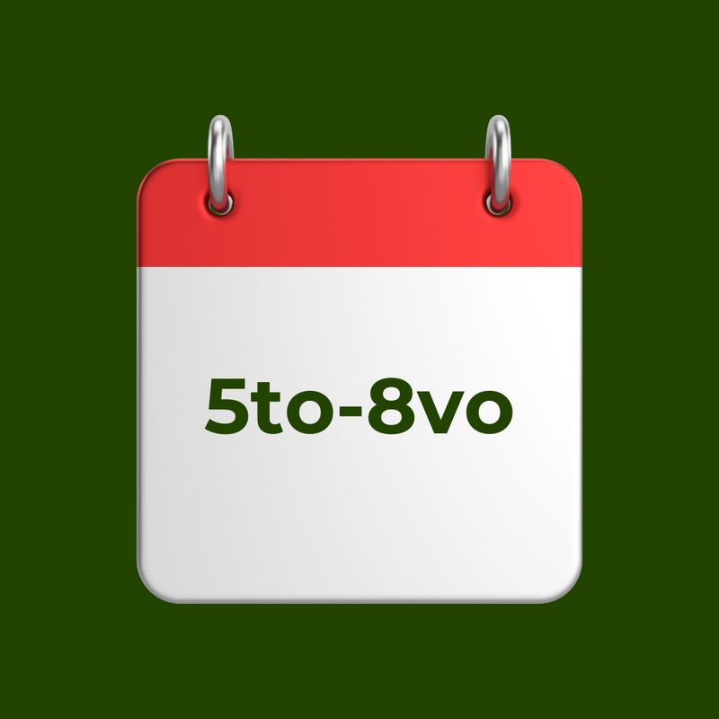 Quinto a Octavo