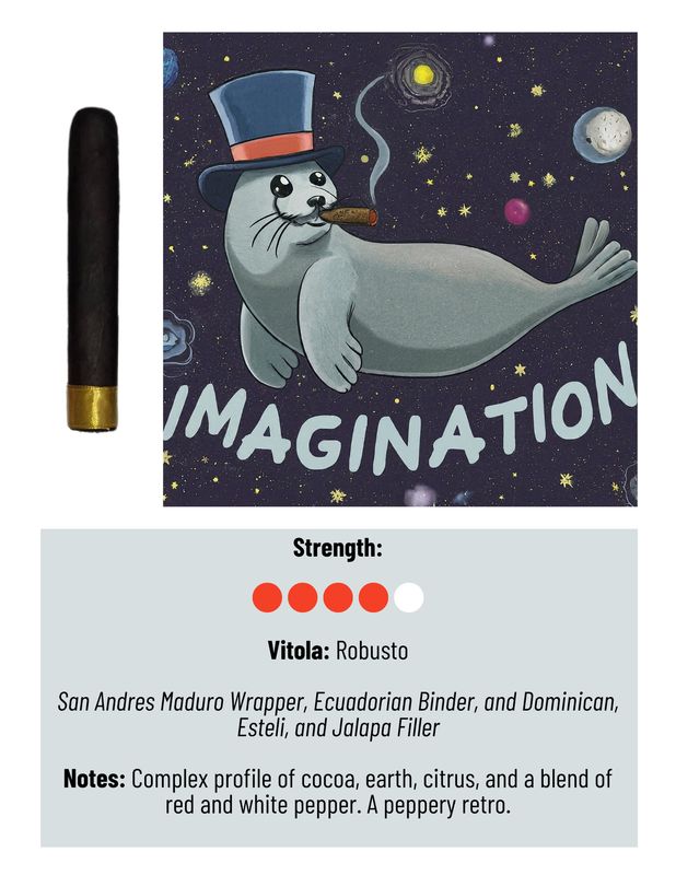 Imagination Robusto