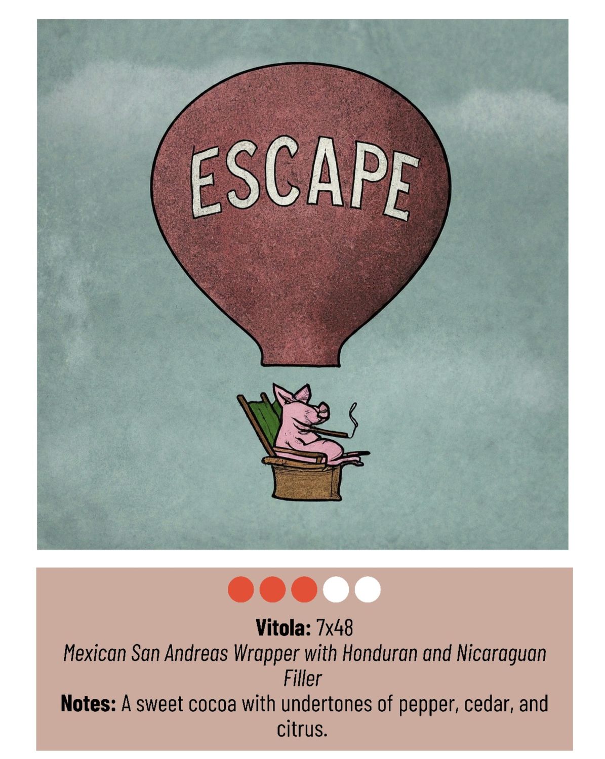 Escape 7x48 5 Pack
