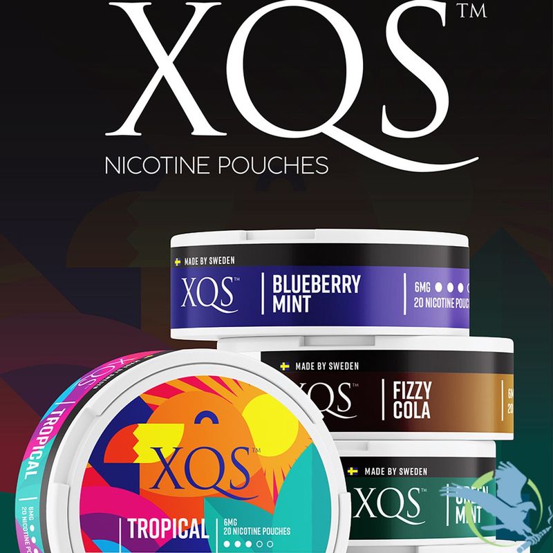 XQS Nicotine Pouches 20pk