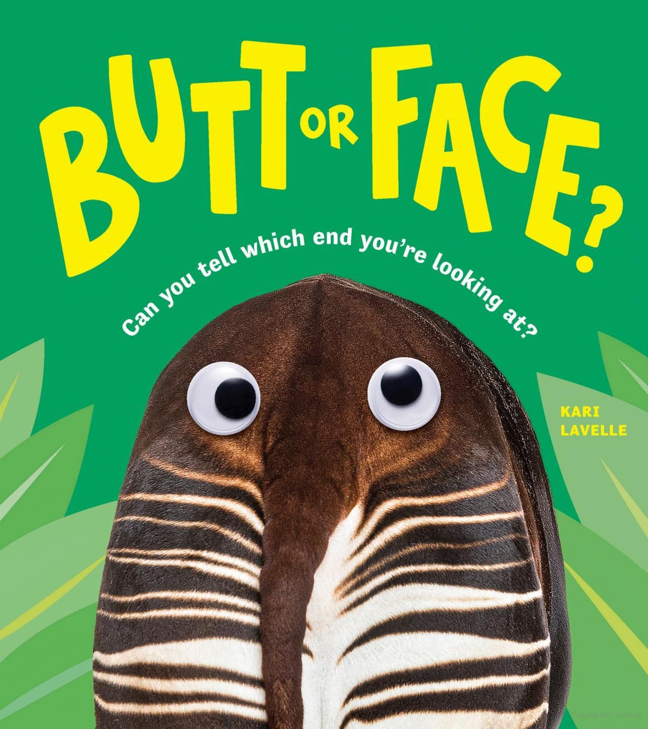 Butt or Face? Volume 1