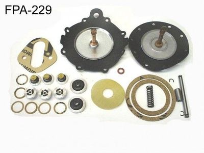 FPA229 Fuel Pump Kit