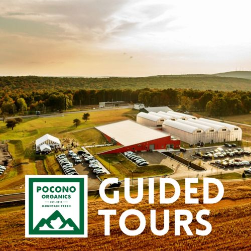 Guided Tours: July  27th 12:0PM