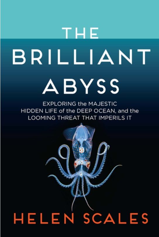 The Brilliant Abyss