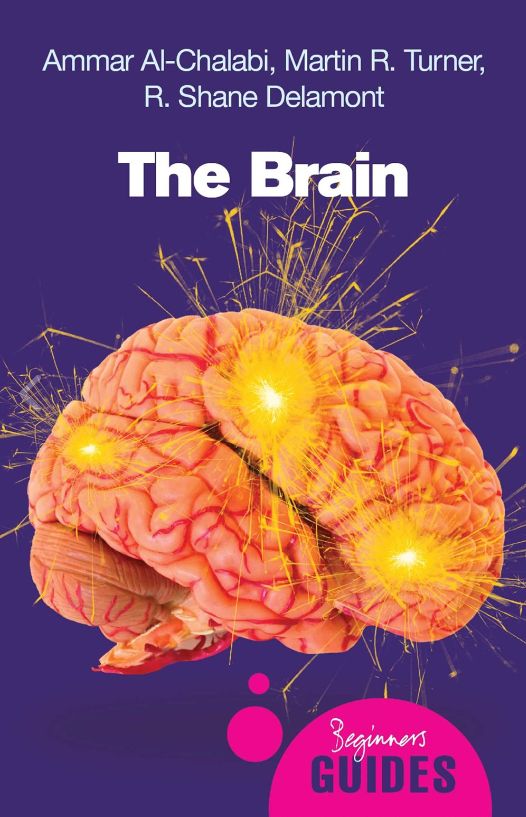 The Brain - Beginners Guide