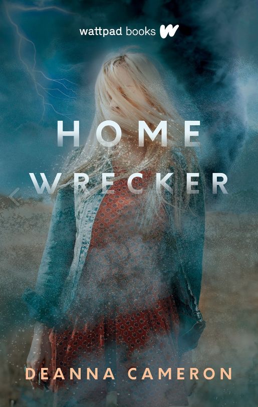 Home Wrecker Home Wrecker