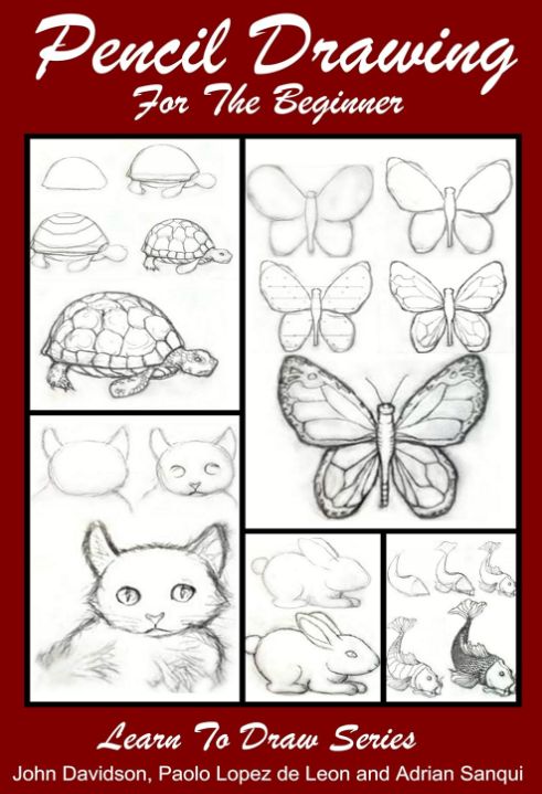Pencil Drawing for the Beginner
