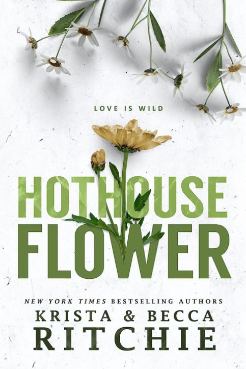 Hothouse Flower Hothouse Flower