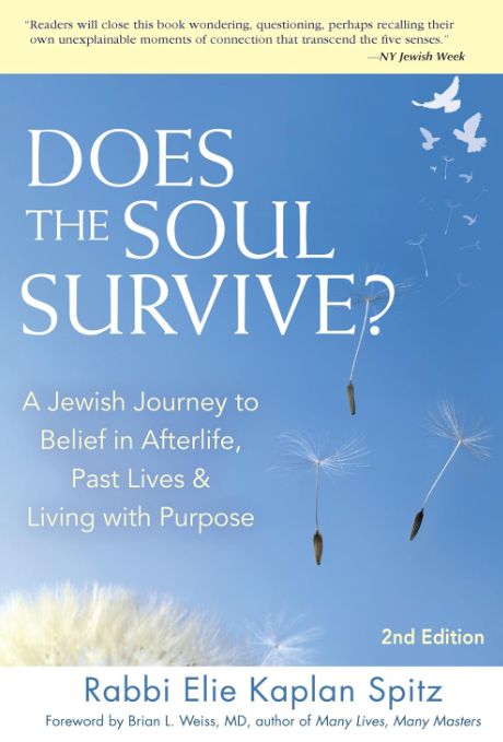 Does The Soul Survive? Does The Soul Survive?
