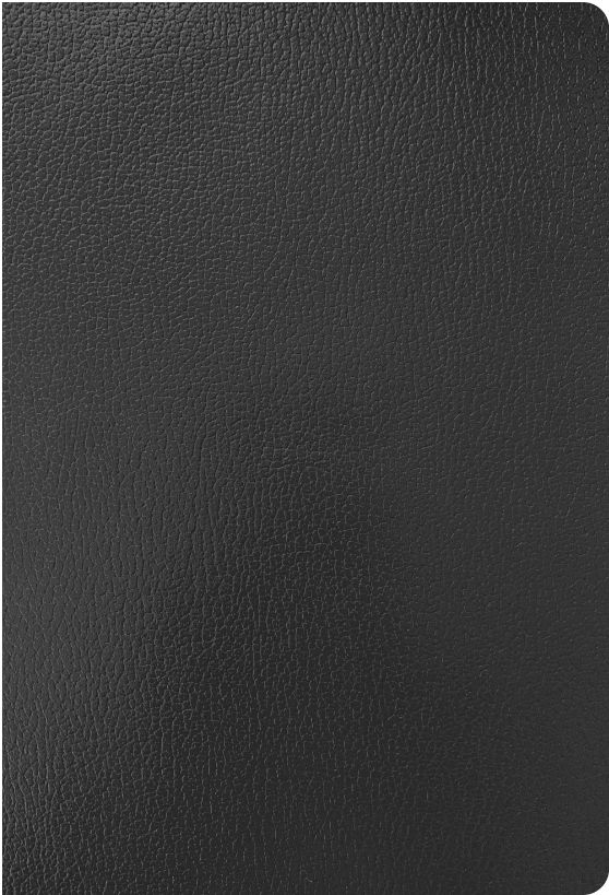 KJV Super Giant Print Reference Bible