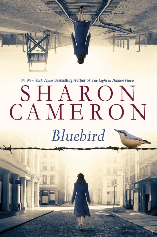 Bluebird Bluebird