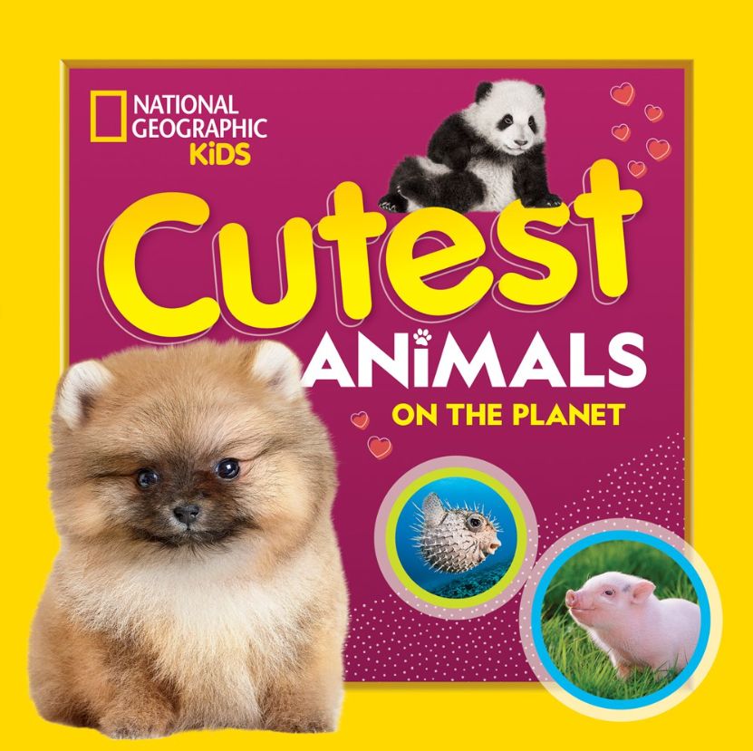 Cutest Animals on the Planet Cutest Animals on the Planet