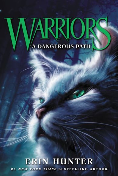 Warriors #5 A Dangerus Path