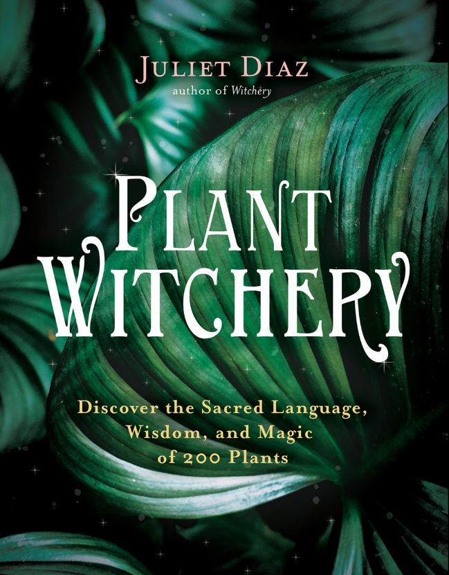 Plant Wichery