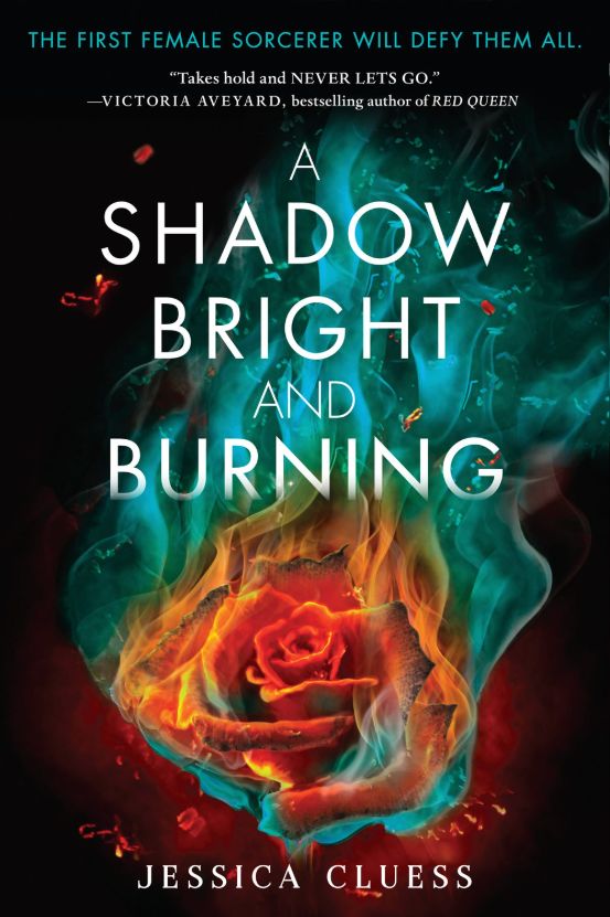 A Shadow Bright and Burning