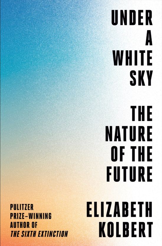 Under a White Sky