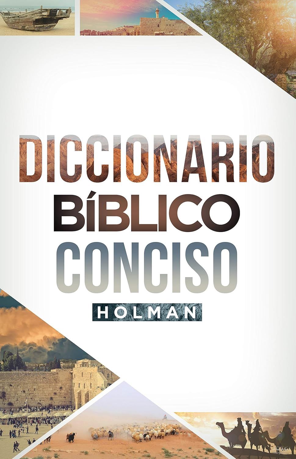 Diccionario biblico conciso