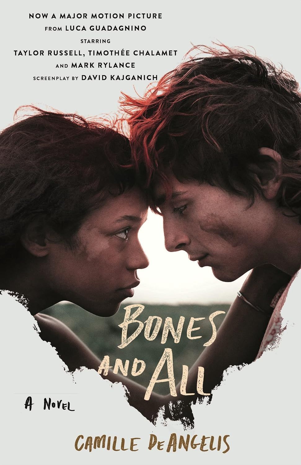 Bones and All -Wednesday Book