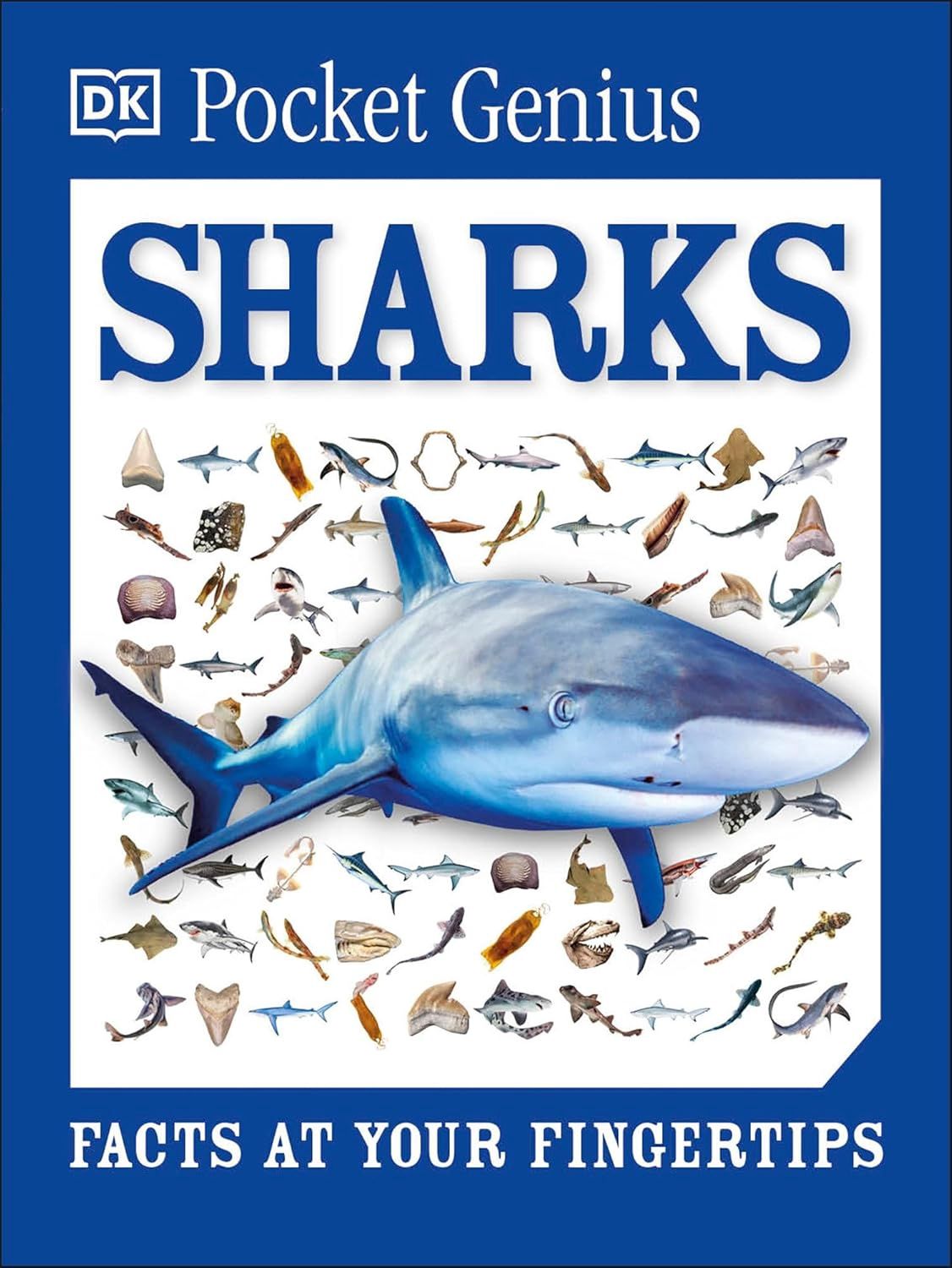 DK Pocket Genius - Sharks DK Pocket Genius - Sharks