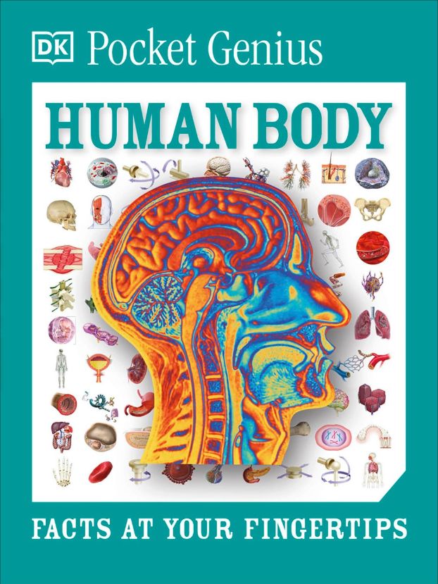 DK Pocket Genius - Human Body