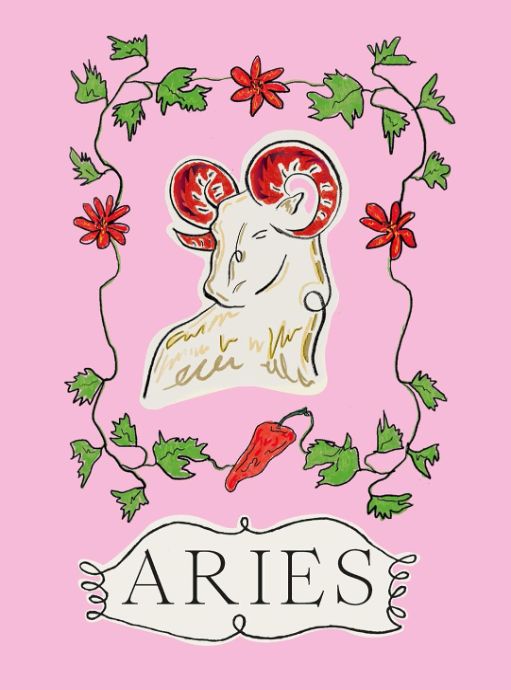 Aries (Planet Zodiac #4)